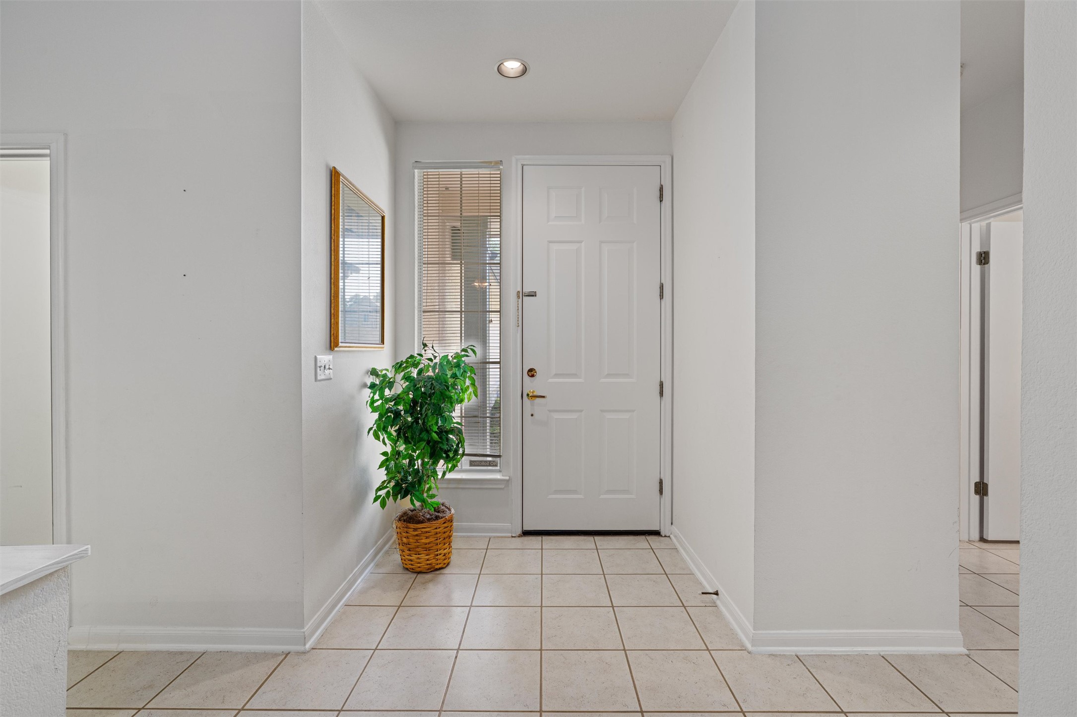 121 Larkspur Lane Georgetown, TX 78633 - Photo 4 of 28