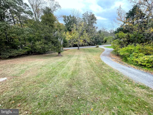 a view of a yard with large trees