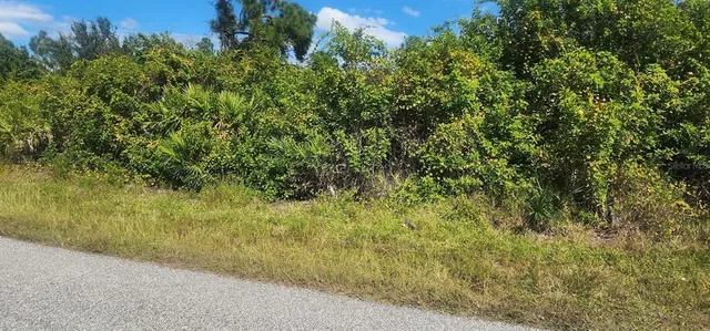 a view of a field of grass and trees