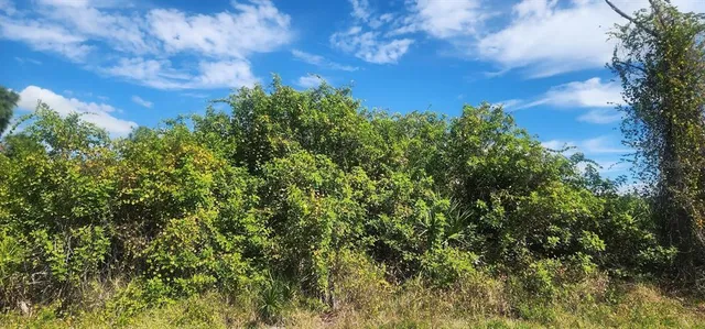 a view of a large yard with lots of green space