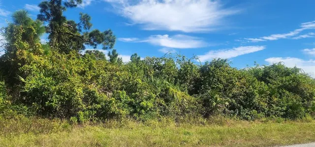 a view of a yard with a tree