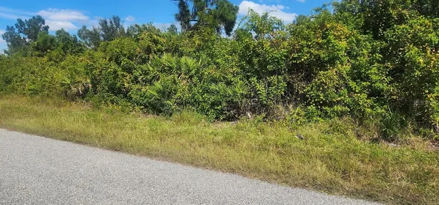 a view of a yard with a tree