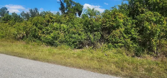 a view of a field with a tree