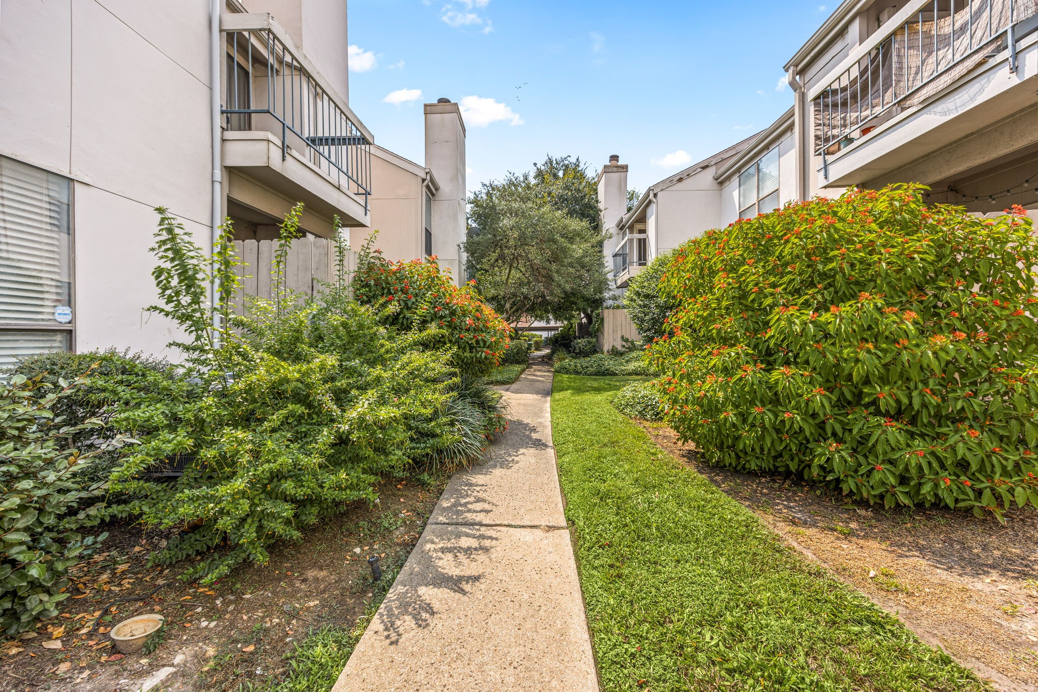 7950 North Stadium Drive, Unit 232 Houston, TX 77030 - Photo 15 of 21 a view of a pathway with house on both side