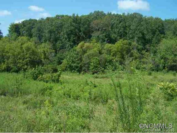 3 Maple Creek Road, Unit 1 2 3 Rutherfordton, NC 28139 - Photo 2 of 7 a view of a lush green forest with trees in the background