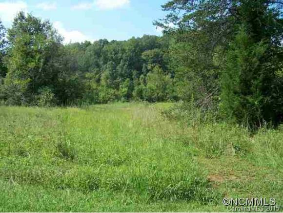 3 Maple Creek Road, Unit 1 2 3 Rutherfordton, NC 28139 - Photo 5 of 7 a view of a lush green space