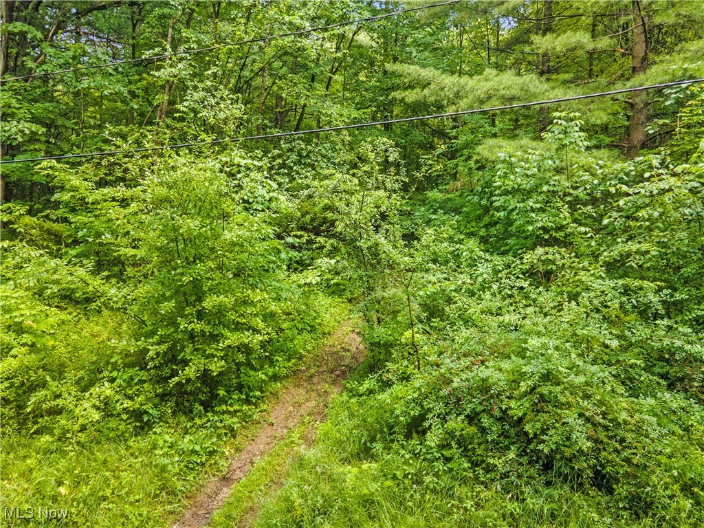 Sidley Road Thompson, OH 44086 - Photo 12 of 21 Gallery Image 12