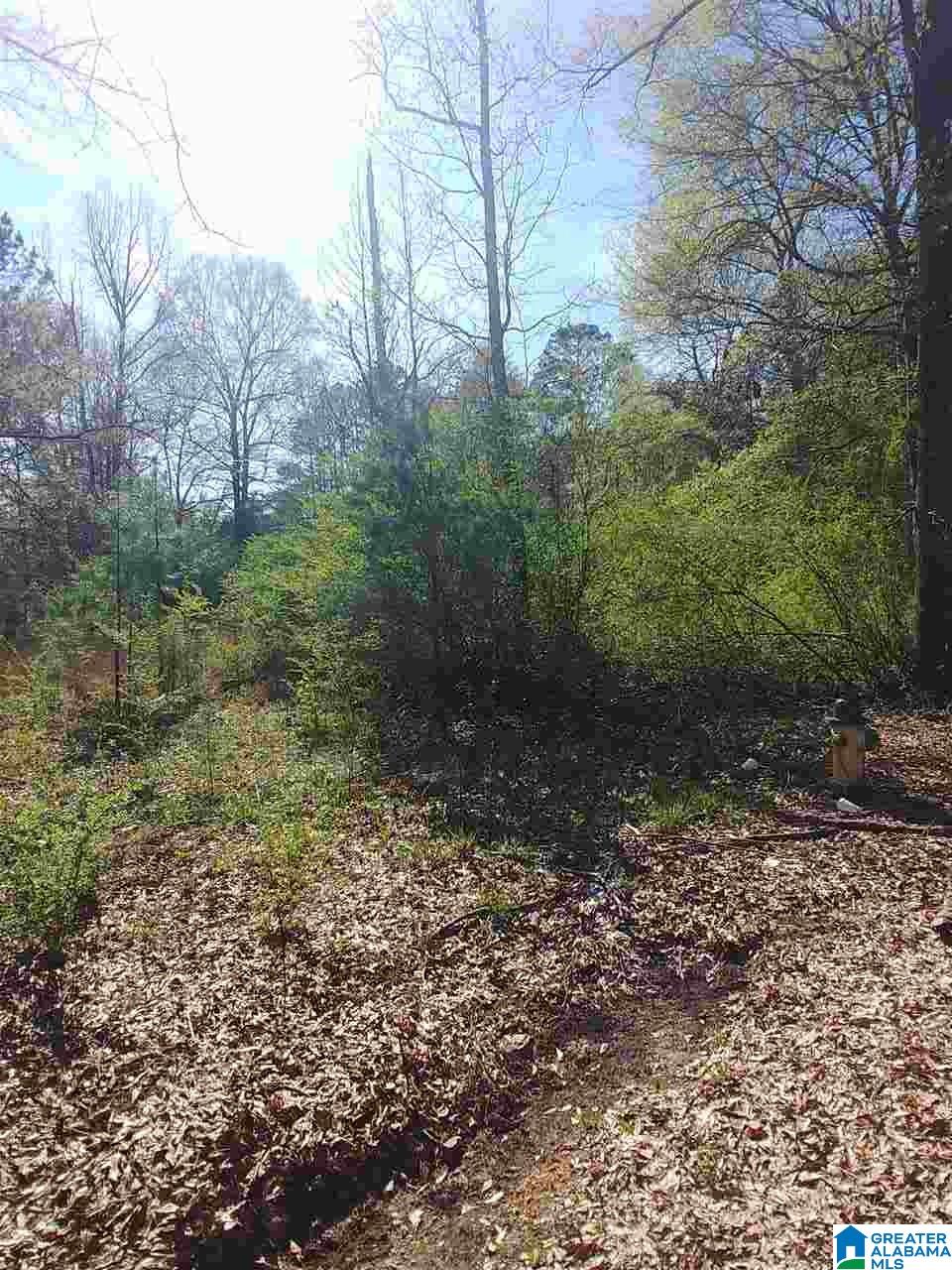 0 Roberts Mill Pond Road, Unit 1 39 Pell City, AL 35128 - Photo 5 of 29