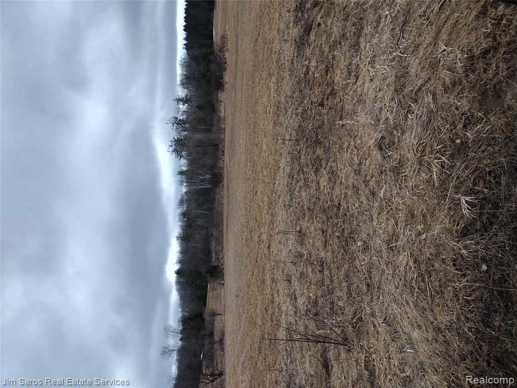 4771 East County Line Road South Branch, MI 48761 - Photo 8 of 13