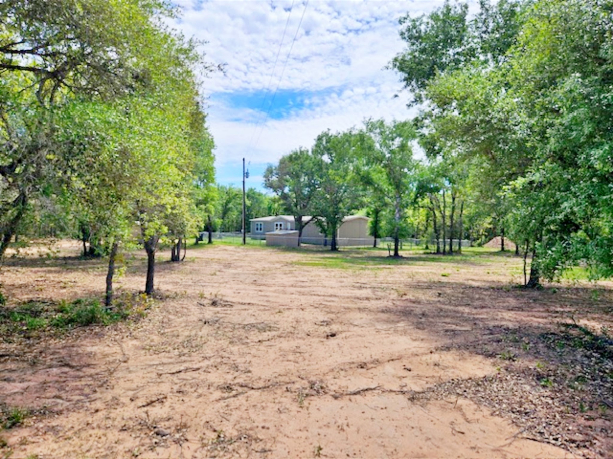 1032 Reeves Road Garwood, TX 77442 - Photo 19 of 29 a view of a tree in a park