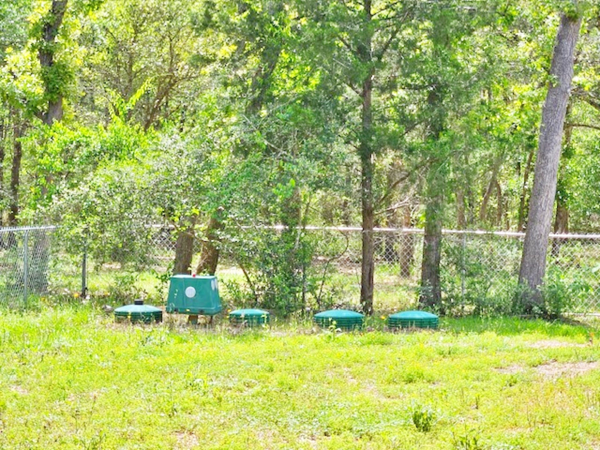 1032 Reeves Road Garwood, TX 77442 - Photo 28 of 29 a backyard of a house with plants and large trees