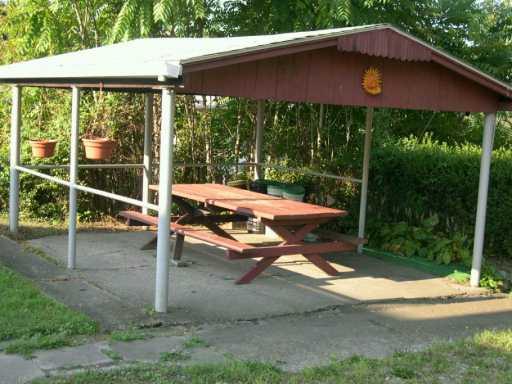 3701 Mt Troy Road Pittsburgh, PA 15212 - Photo 5 of 8 Yard/Garden.