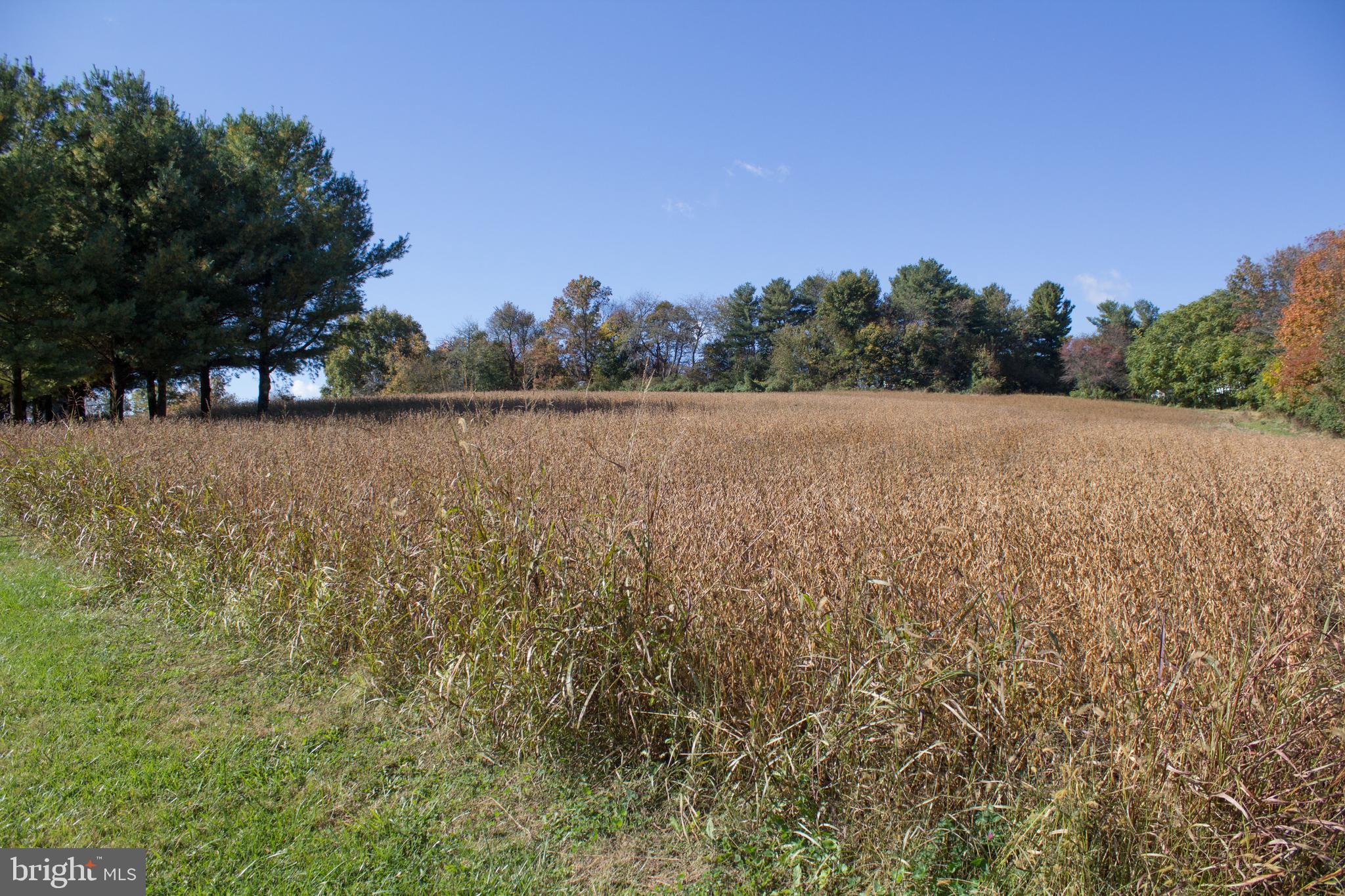 3450 Baker Road Westminster, MD 21157 - Photo 26 of 45 Part of 15 acre plot