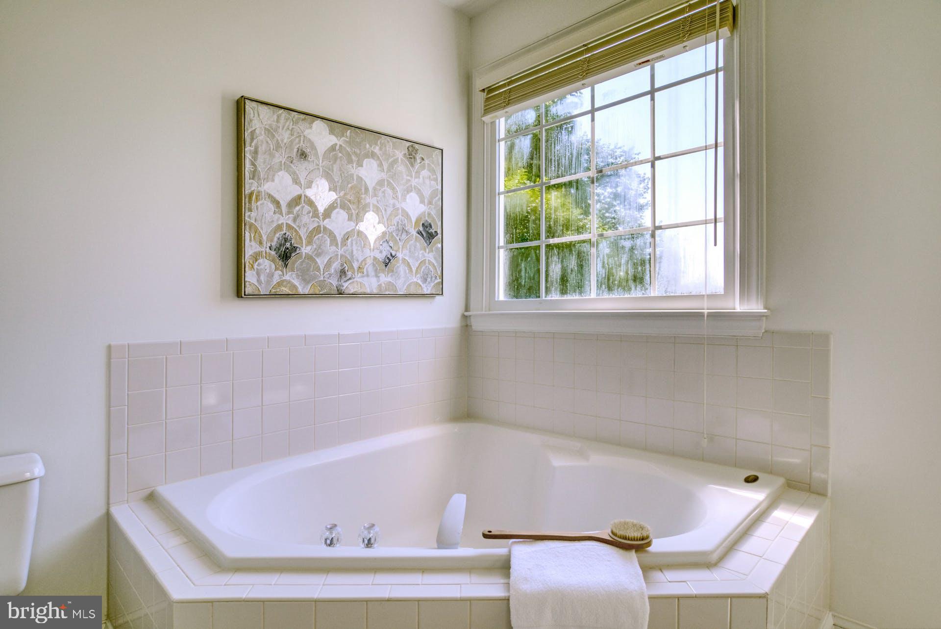 1158 Meadowlook Court Reston, VA 20194 - Photo 23 of 43 Primary Bath