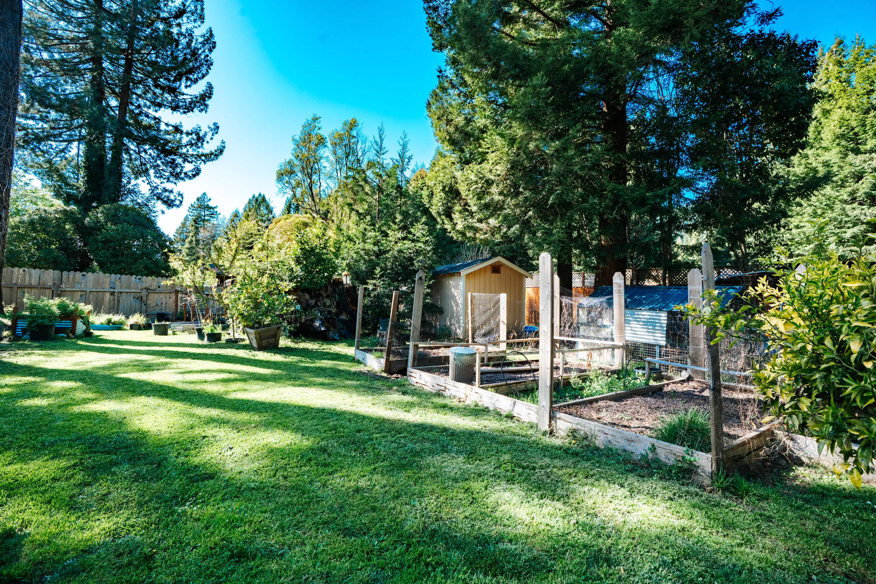 421 N Road Scotia, CA 95565 - Photo 43 of 56