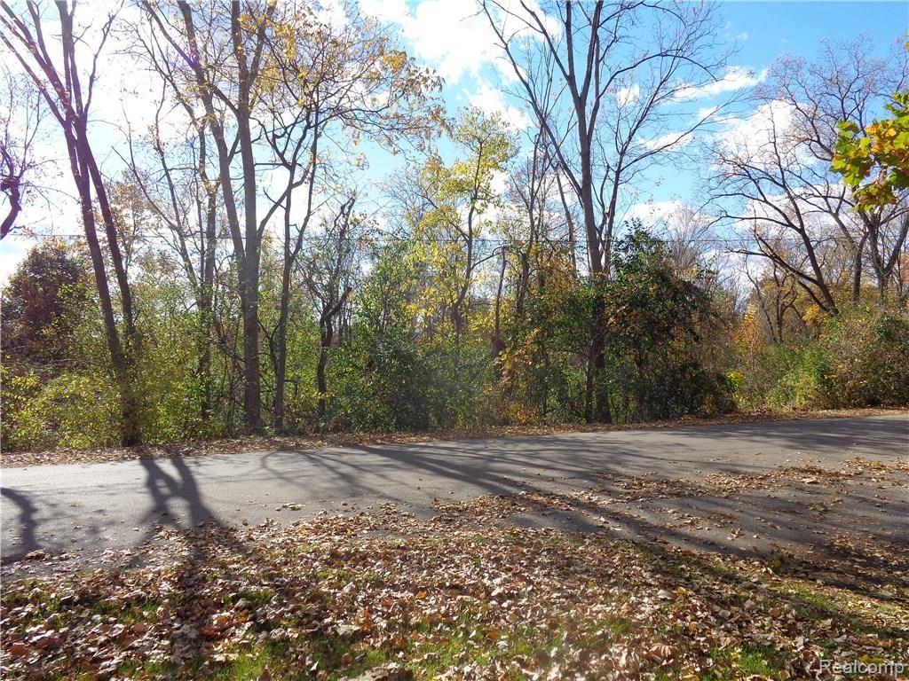 15550 Meadowbrook Road Redford, MI 48239 - Photo 35 of 36 View Across Street