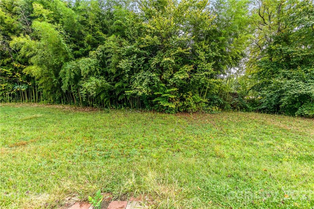 4842 Elizabeth Road Charlotte, NC 28269 - Photo 8 of 20 Gallery Image 8