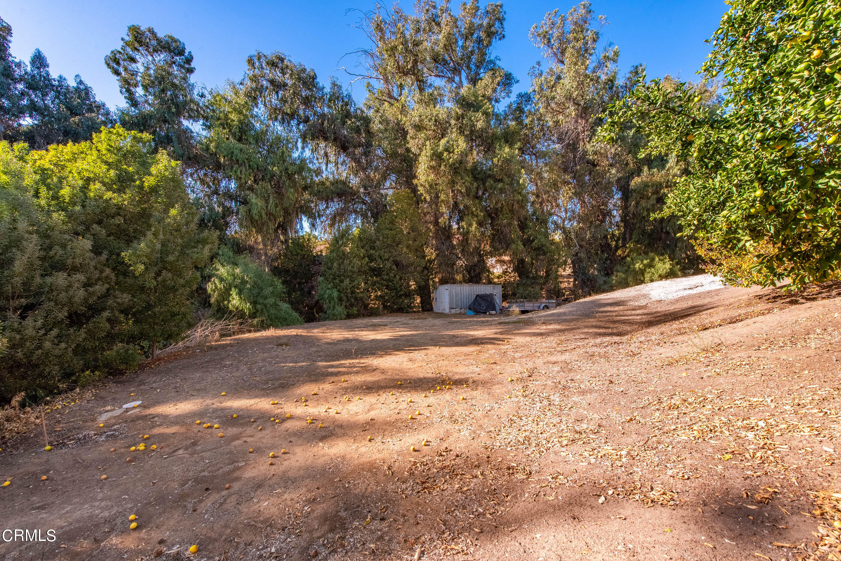 1101 Dominica Corte Camarillo, CA 93010 - Photo 13 of 71 1101 Dominica Corte Camarillo-62