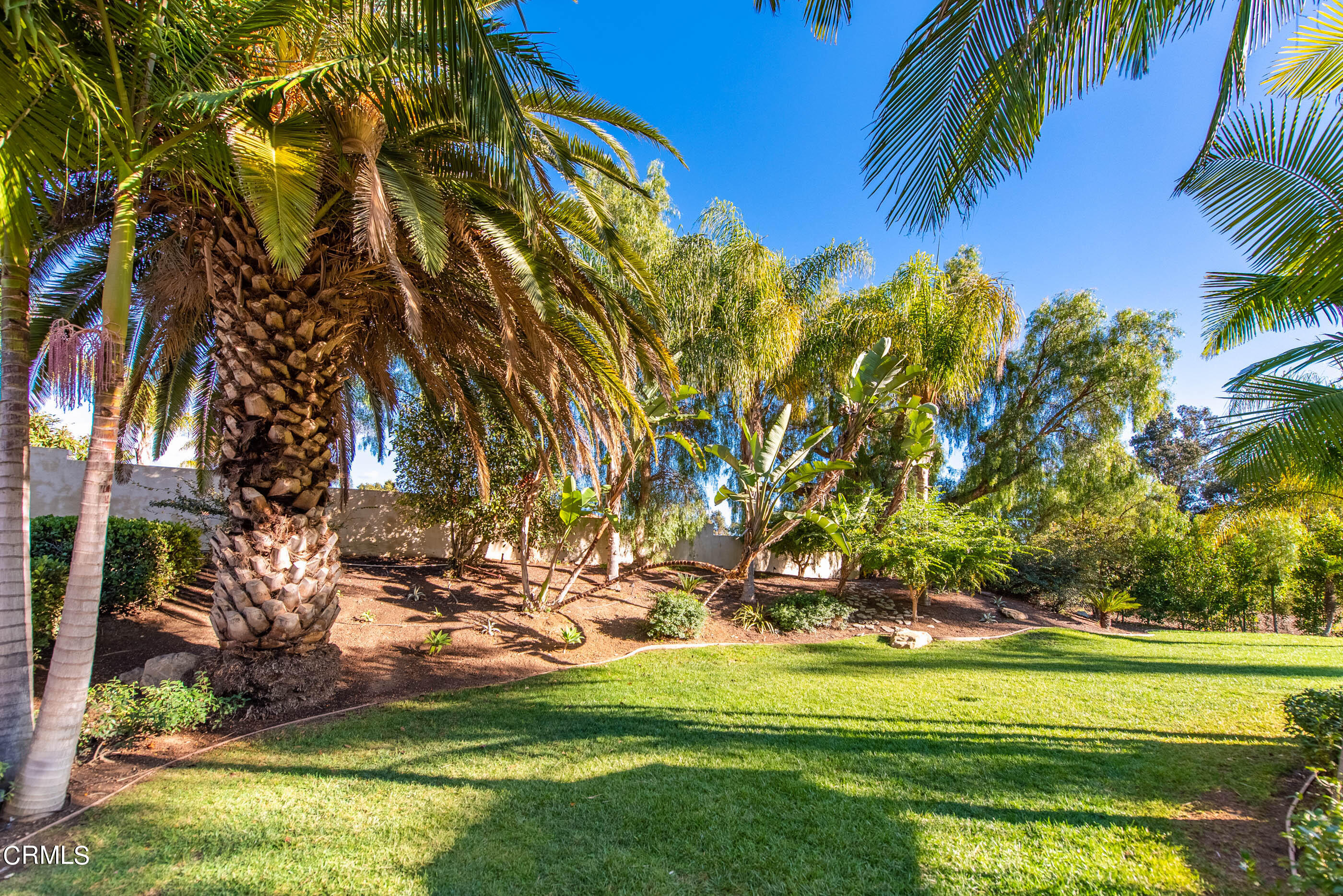 1101 Dominica Corte Camarillo, CA 93010 - Photo 27 of 71 1101 Dominica Corte Camarillo-60