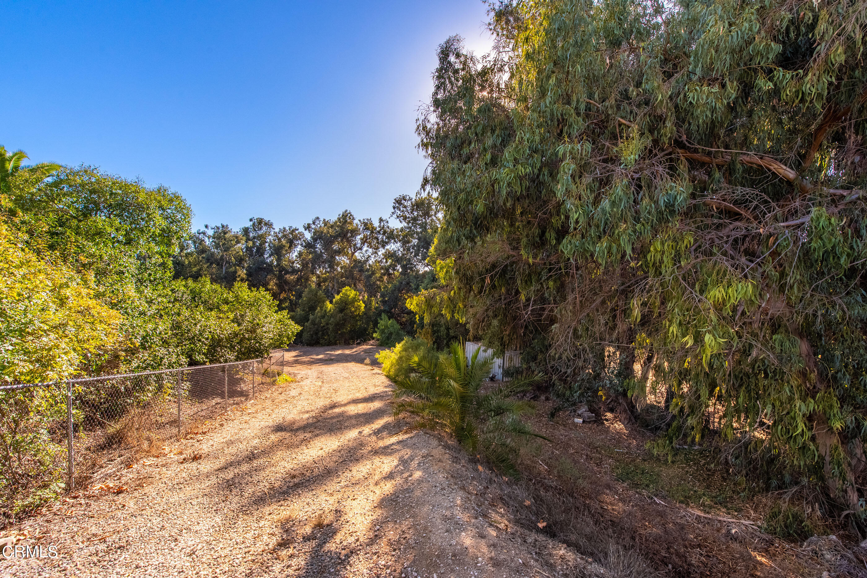 1101 Dominica Corte Camarillo, CA 93010 - Photo 54 of 71 1101 Dominica Corte Camarillo-61