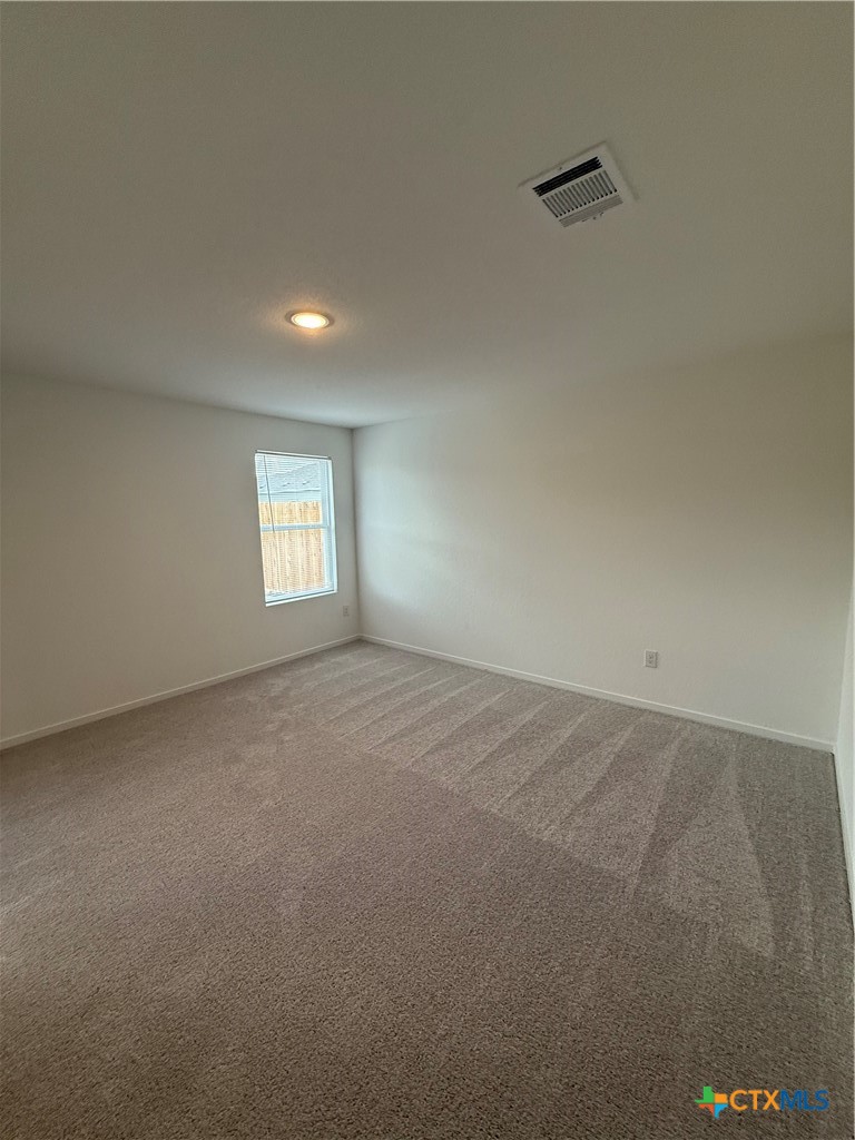 315 Moscato Road New Braunfels, TX 78130 - Photo 9 of 16