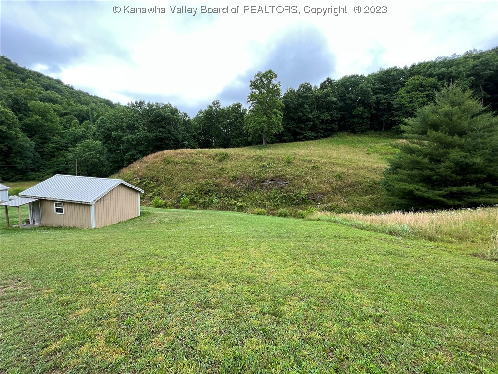 2017 Horse Fork Road Wallback, WV 25285 - Photo 4 of 19 Gallery Image 4