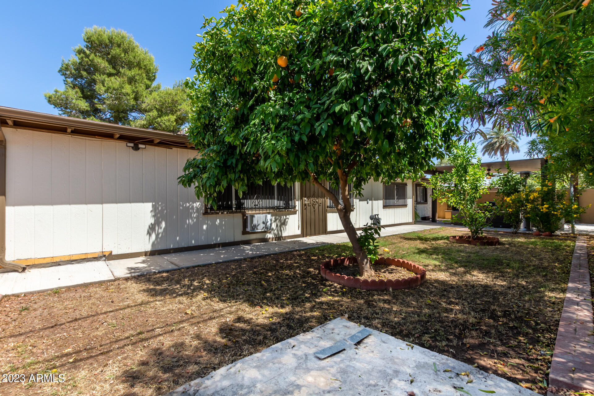 3834 North 34th Street Phoenix, AZ 85018 - Photo 26 of 29 a view of a backyard with large trees