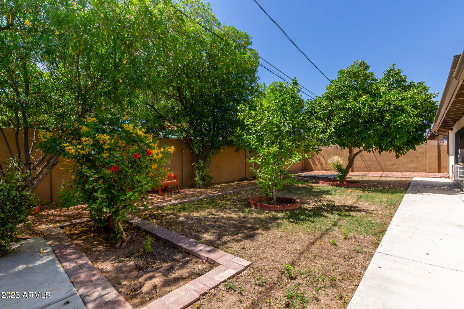 3834 North 34th Street Phoenix, AZ 85018 - Photo 28 of 29 a tree in a backyard of a house