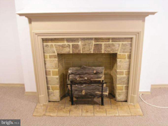 1359 Stonewood Road Baltimore, MD 21239 - Photo 24 of 29 Fireplace