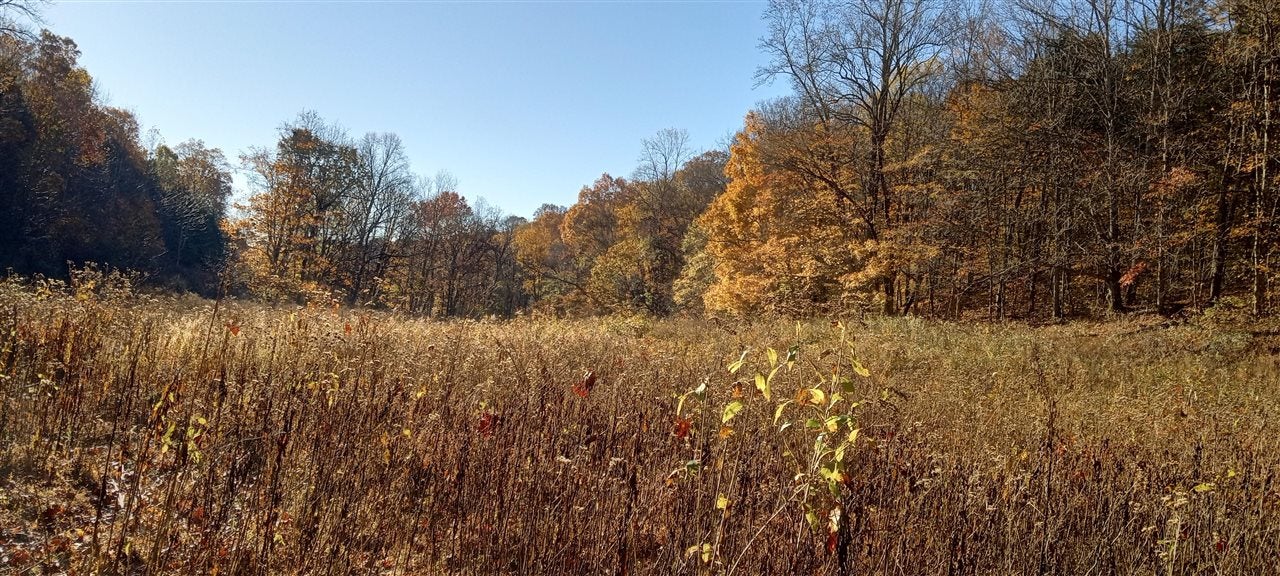 1520 Gordon Branch Road Edmonton, KY 42129 - Photo 47 of 85 Gallery Image 47
