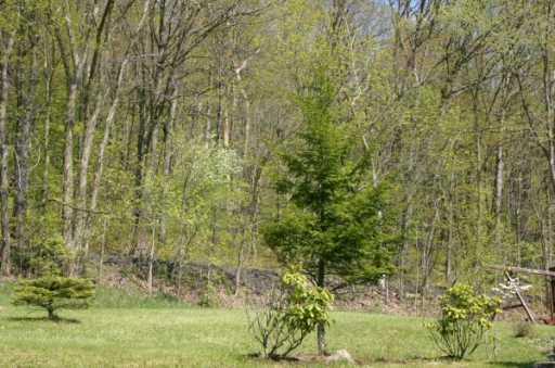 4000 Riverview Road North Huntingdon, PA 15642 - Photo 8 of 8 Gallery Image 8