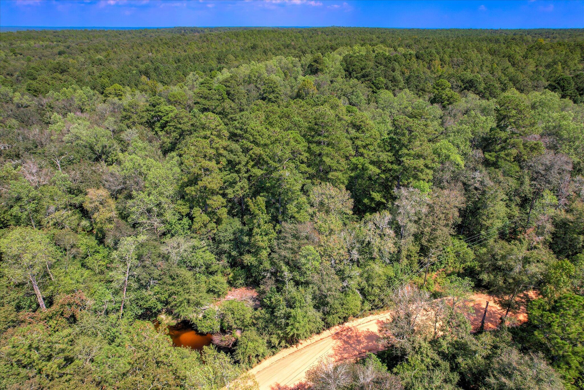 001 A Centerwood Road Williston, SC 29853 - Photo 14 of 19