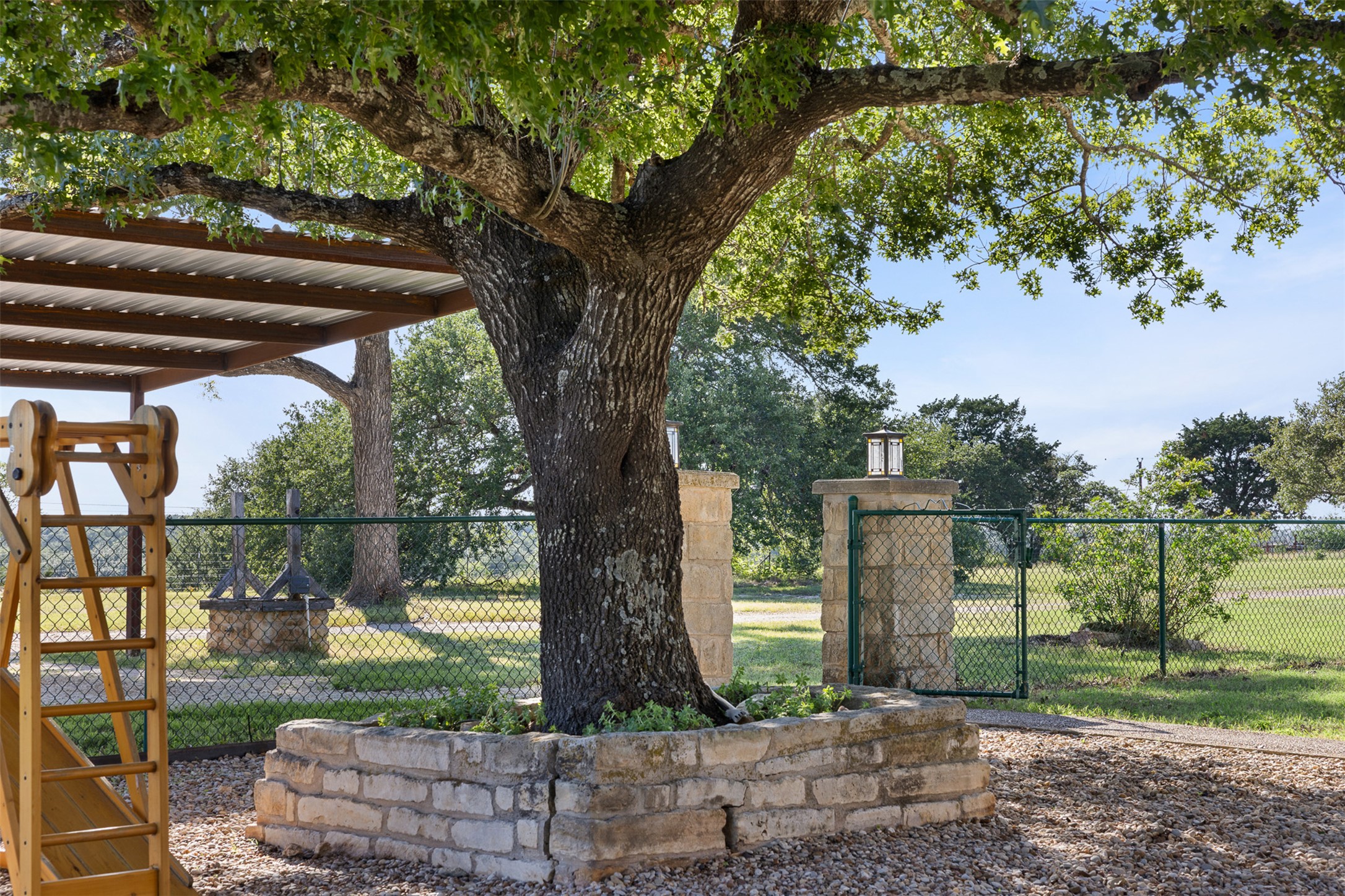 3340 Briggs Road Killeen, TX 76549 - Photo 12 of 40 a view of a yard with a tree