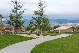 a view of a park with plants and trees
