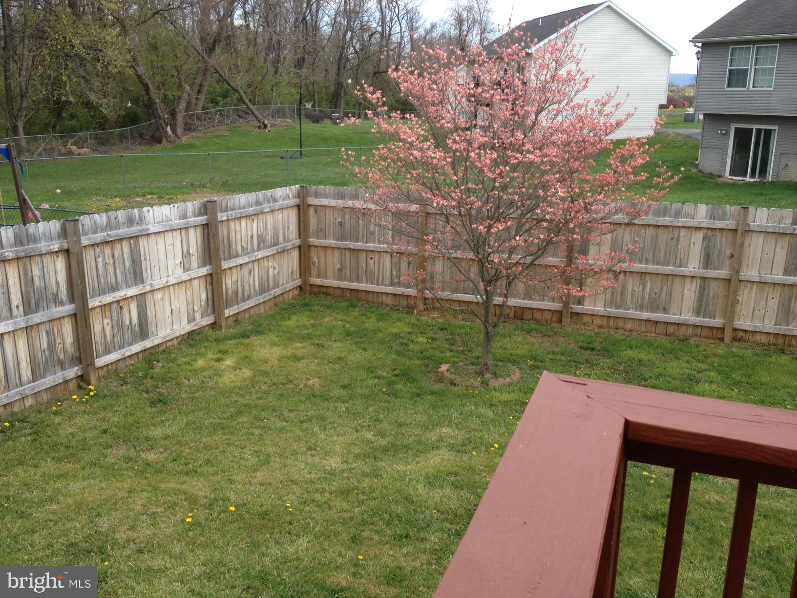 412 East 10th Avenue Ranson, WV 25438 - Photo 25 of 27 a view of a backyard with a garden