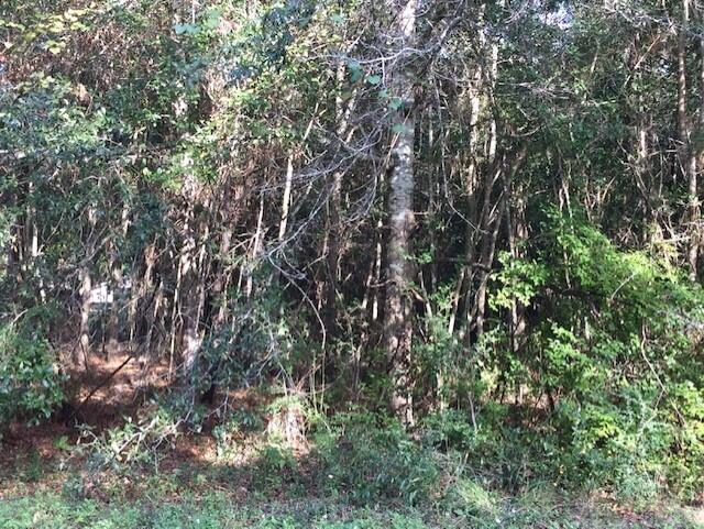 0 La Porte Road Crestview, FL 32539 - Photo 9 of 10 thumbnail_IMG_3103