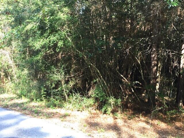 0 La Porte Road Crestview, FL 32539 - Photo 10 of 10 thumbnail_IMG_3105