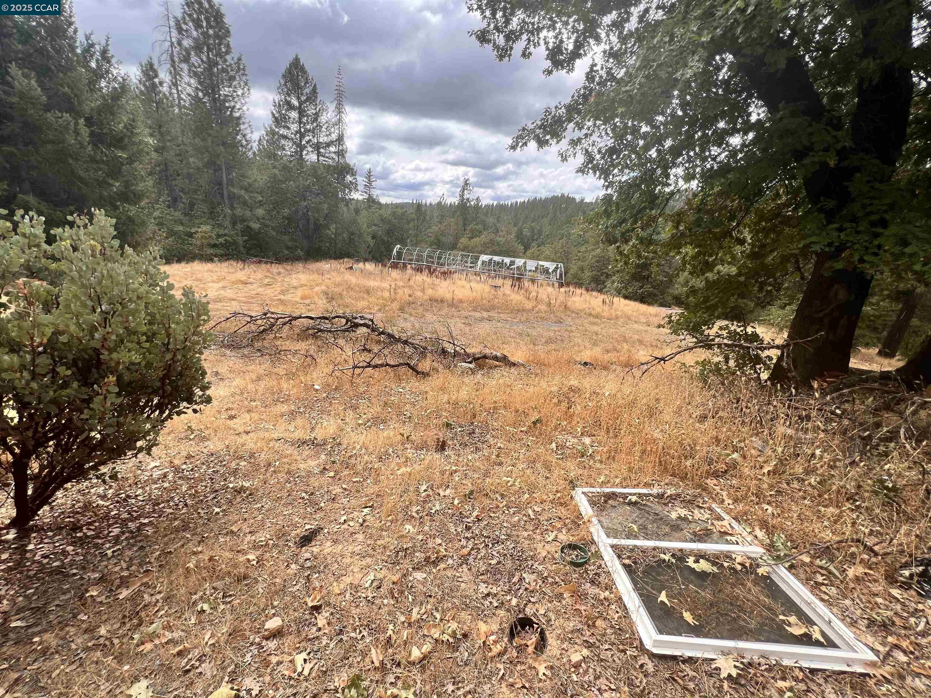 a view of swimming pool with a yard