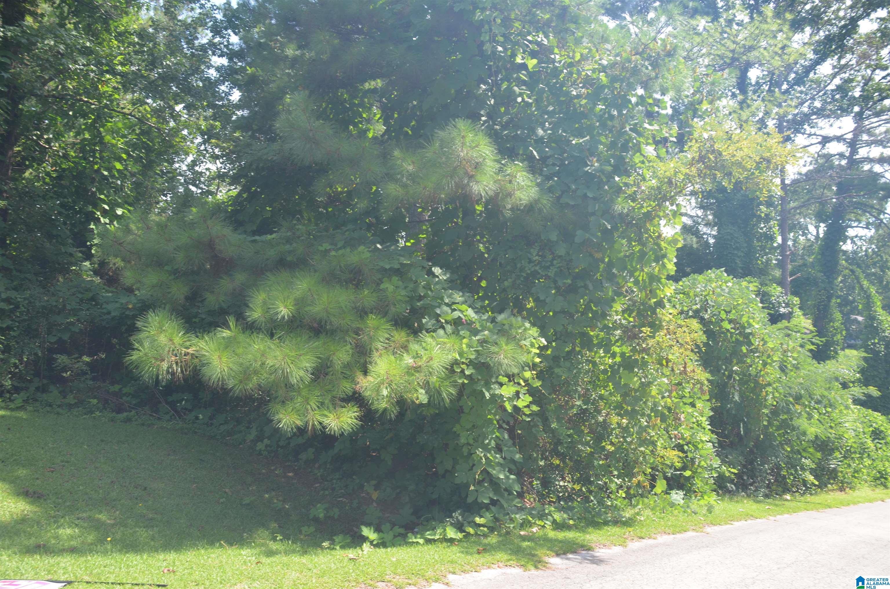 0 Hilltop Road Weaver, AL 36277 - Photo 2 of 8