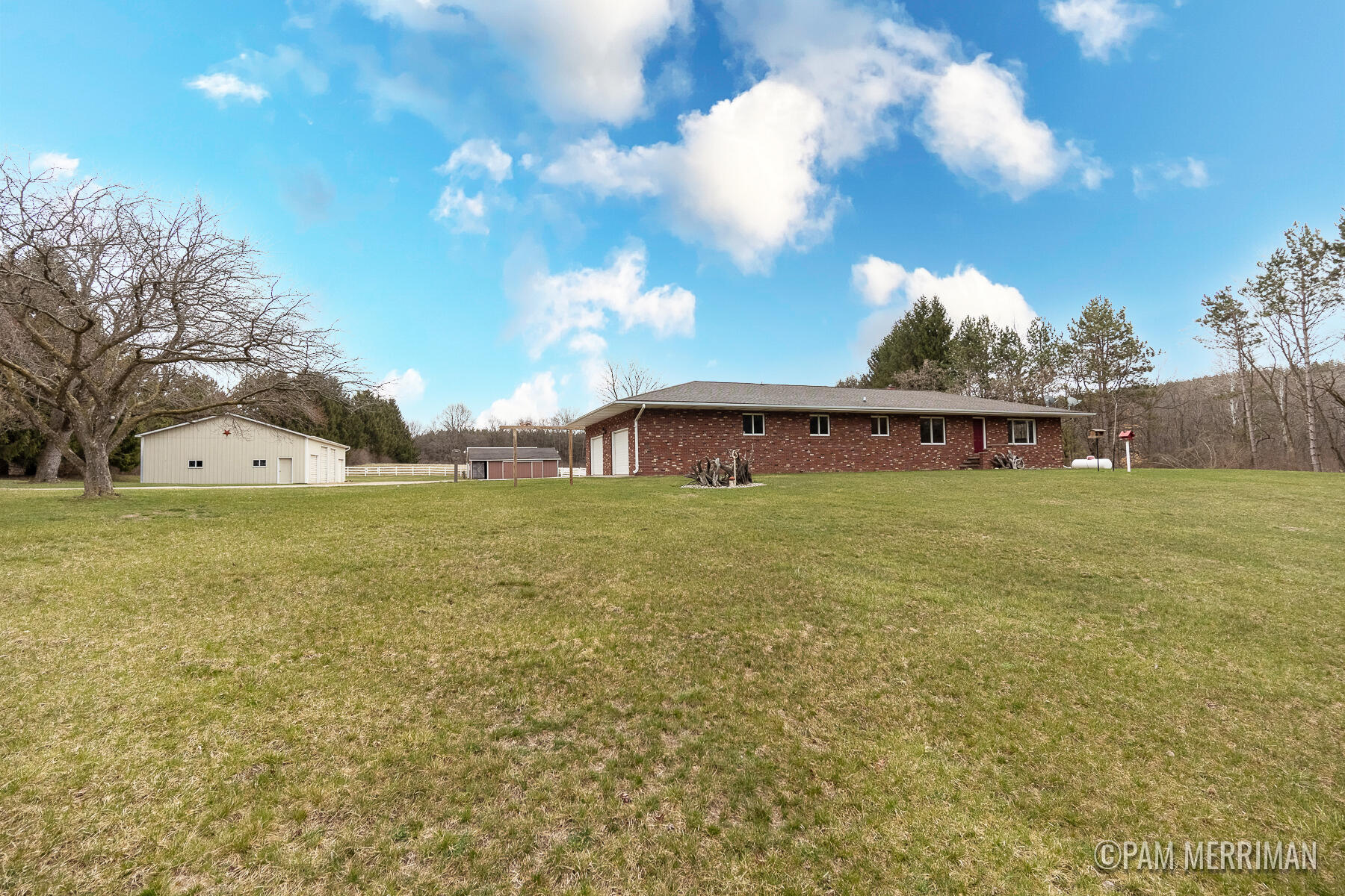 10360 North Wyman Road Edmore, MI 48829 - Photo 1 of 54 10360 N Wyman-2