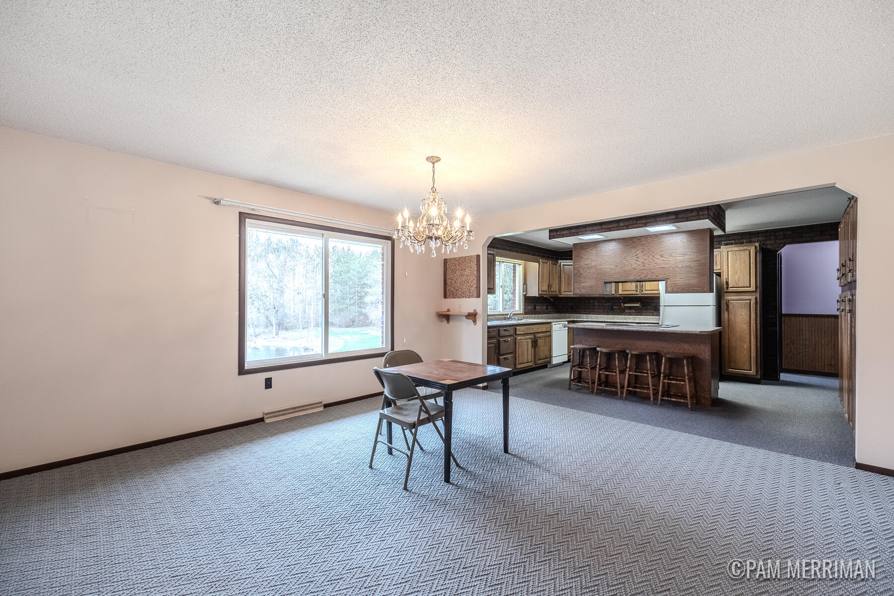 10360 North Wyman Road Edmore, MI 48829 - Photo 12 of 54 10360 N Wyman-23