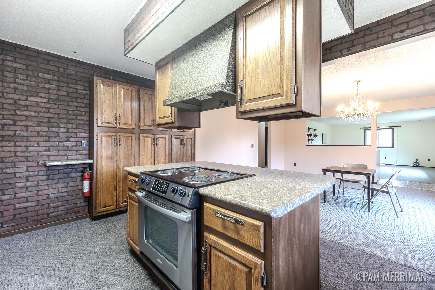 10360 North Wyman Road Edmore, MI 48829 - Photo 16 of 54 10360 N Wyman-27