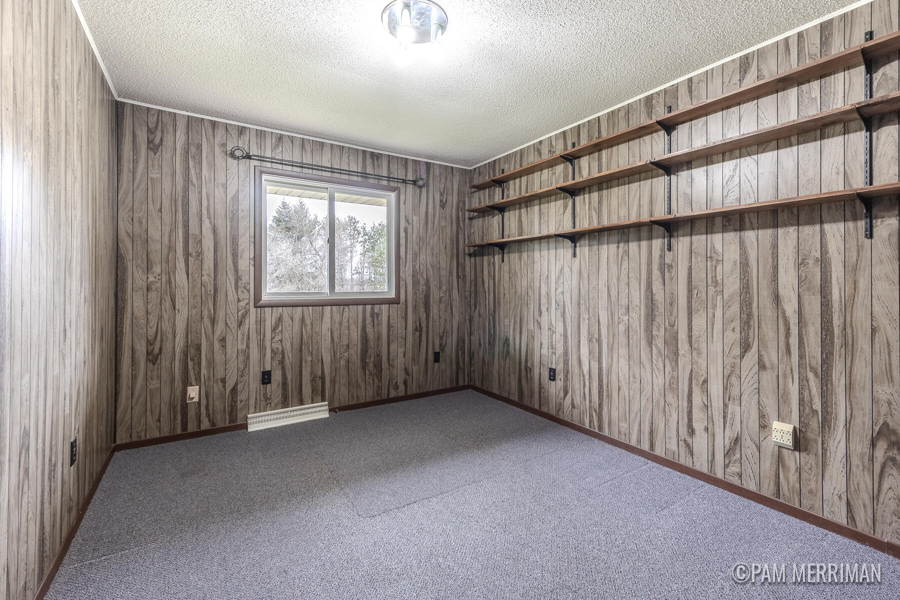 10360 North Wyman Road Edmore, MI 48829 - Photo 17 of 54 10360 N Wyman-28