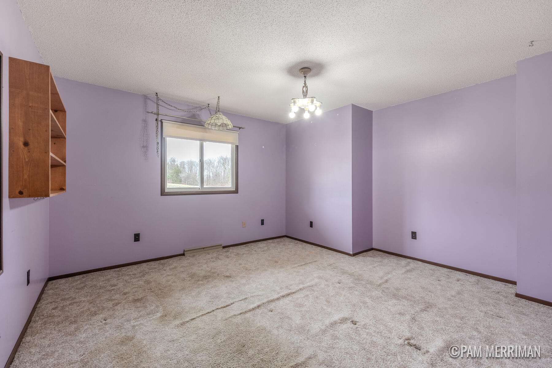 10360 North Wyman Road Edmore, MI 48829 - Photo 20 of 54 10360 N Wyman-34