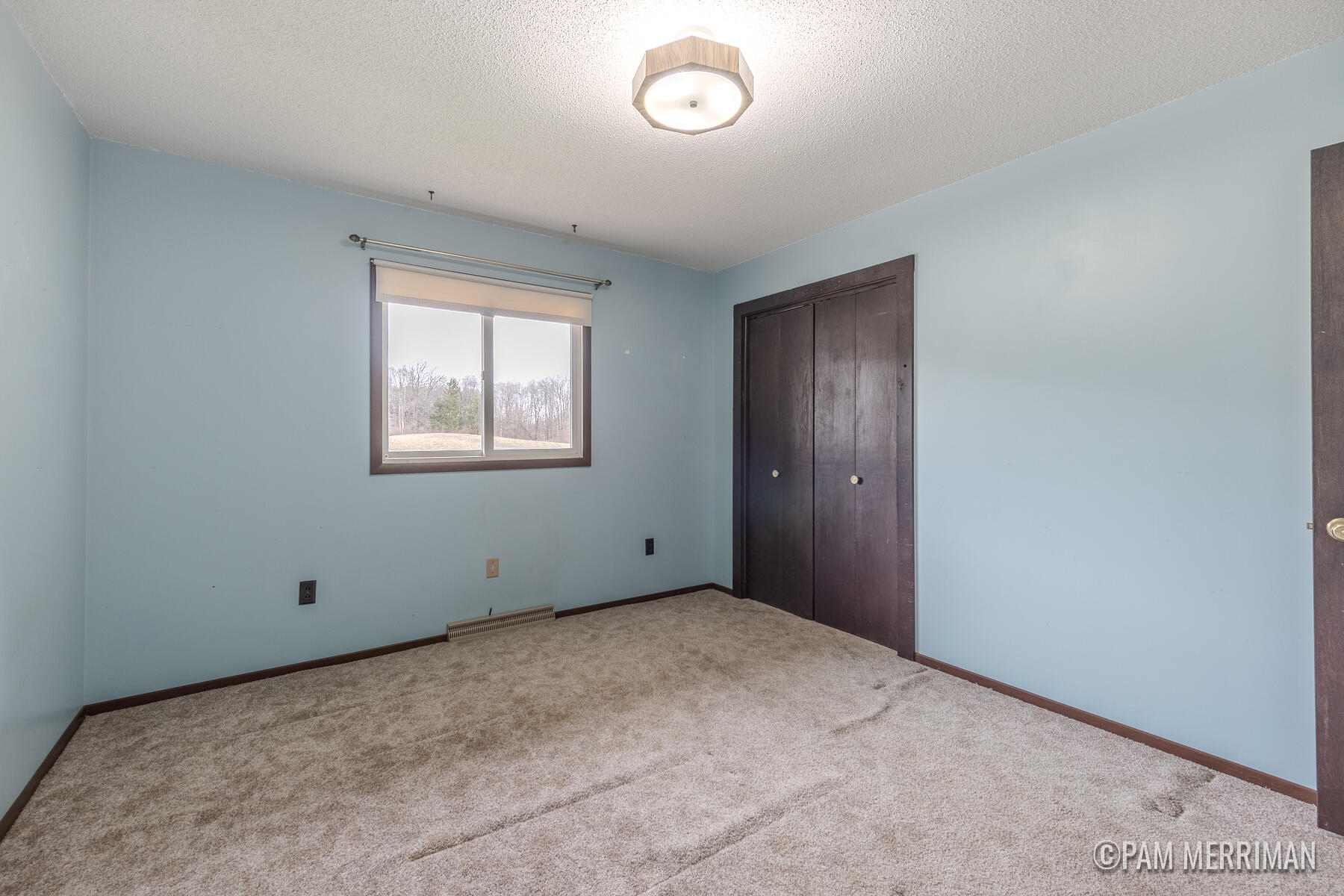 10360 North Wyman Road Edmore, MI 48829 - Photo 22 of 54 10360 N Wyman-32