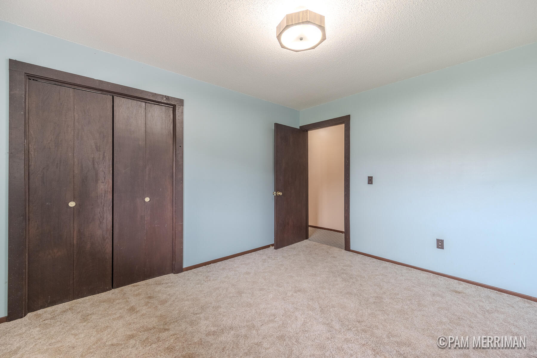 10360 North Wyman Road Edmore, MI 48829 - Photo 23 of 54 10360 N Wyman-33