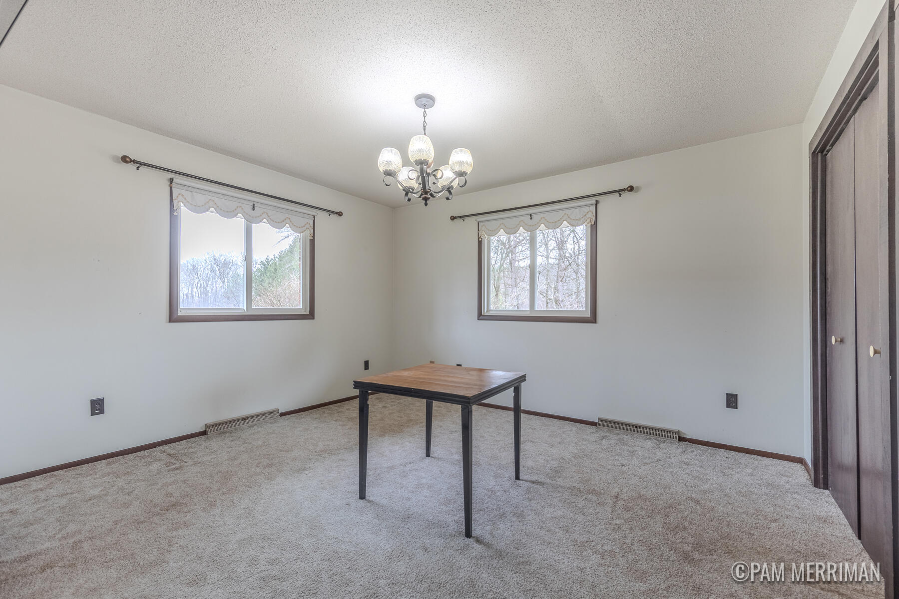 10360 North Wyman Road Edmore, MI 48829 - Photo 25 of 54 10360 N Wyman-37