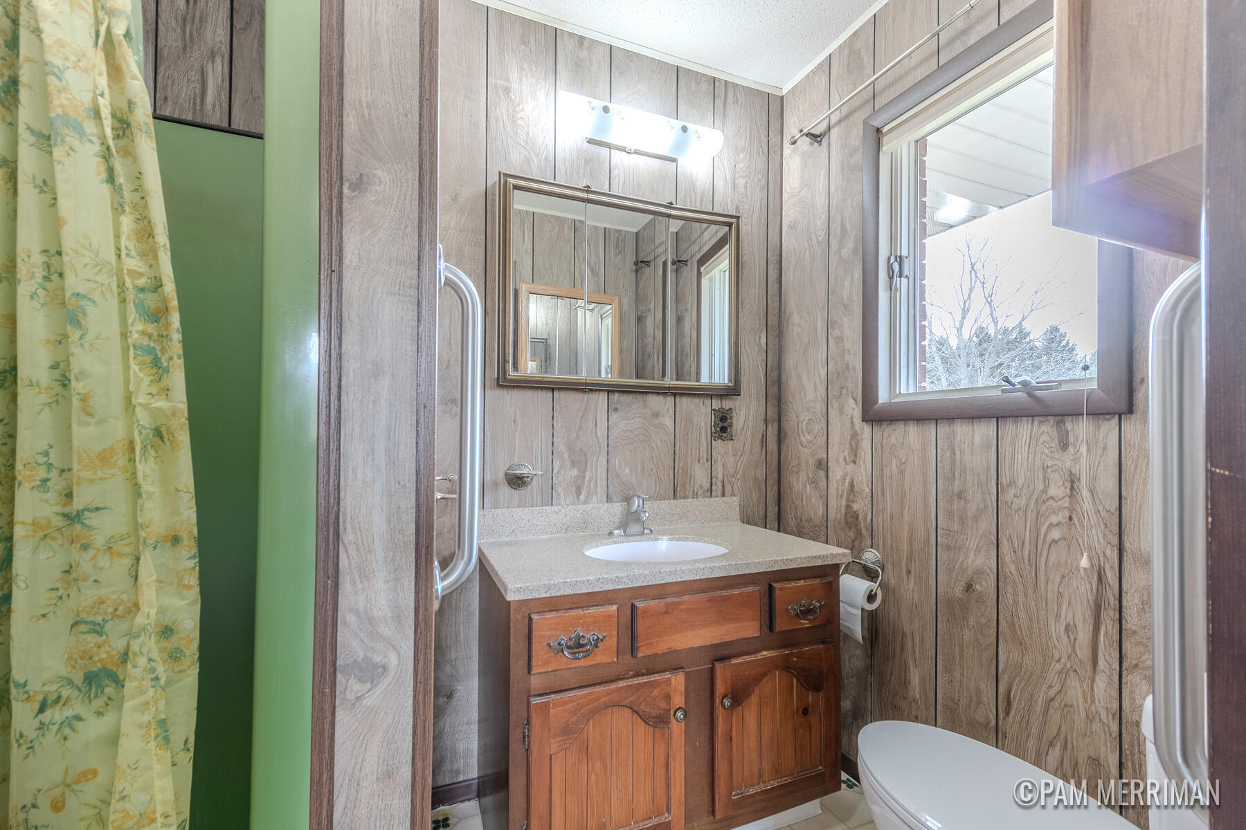 10360 North Wyman Road Edmore, MI 48829 - Photo 27 of 54 10360 N Wyman-39