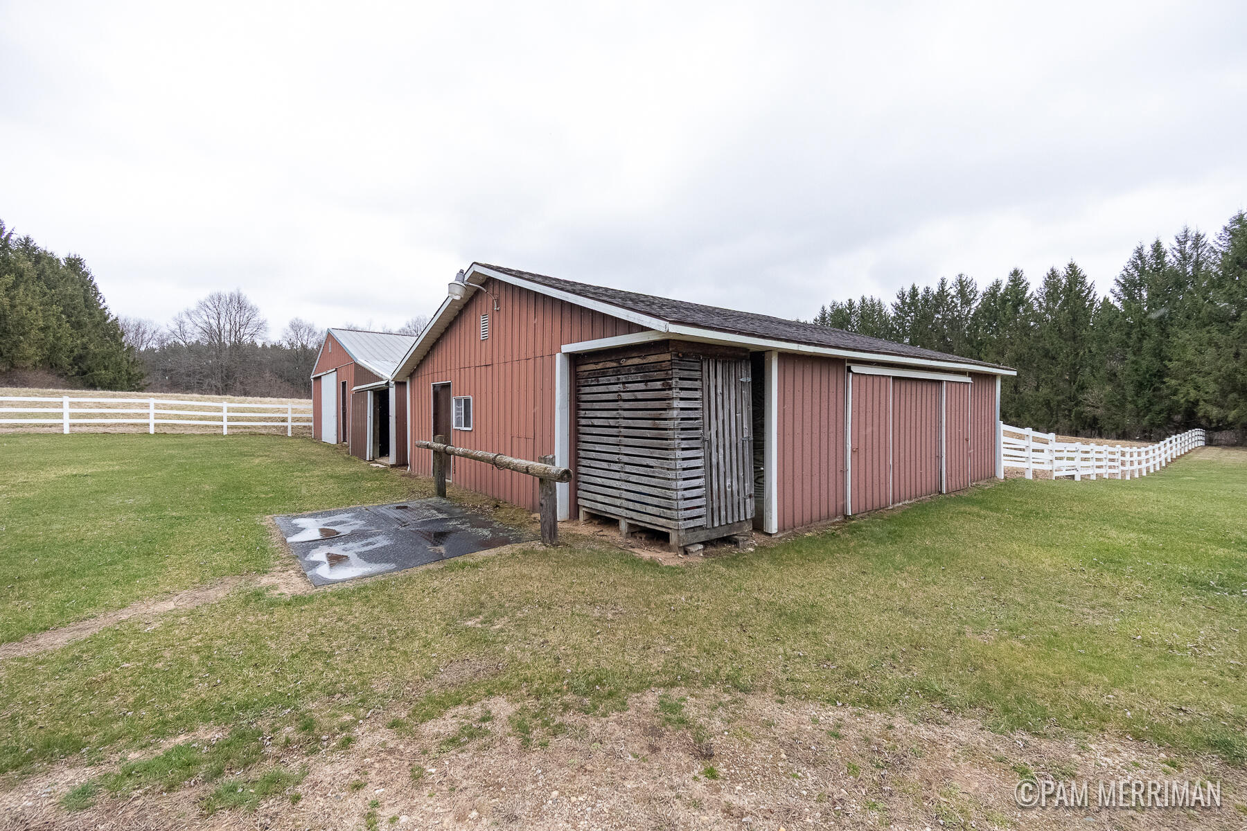 10360 North Wyman Road Edmore, MI 48829 - Photo 44 of 54 10360 N Wyman-11