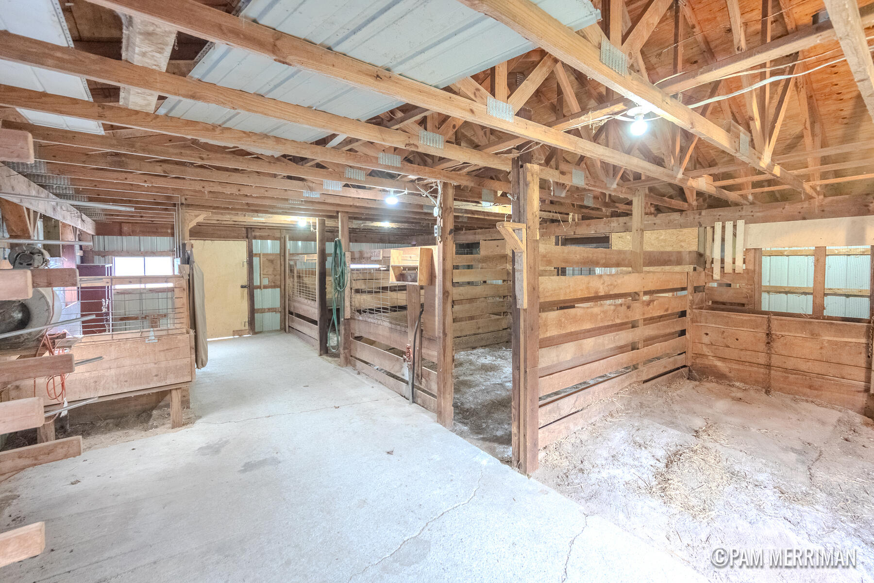 10360 North Wyman Road Edmore, MI 48829 - Photo 45 of 54 10360 N Wyman-13